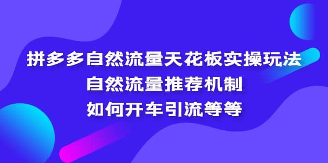 拼多多自然流量天花板实操玩法：自然流量推荐机制，如何开车引流等等-瑞创网