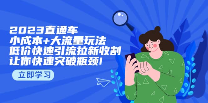 2023直通小成本 大流量玩法，低价快速引流拉新收割，让你快速突破瓶颈-瑞创网