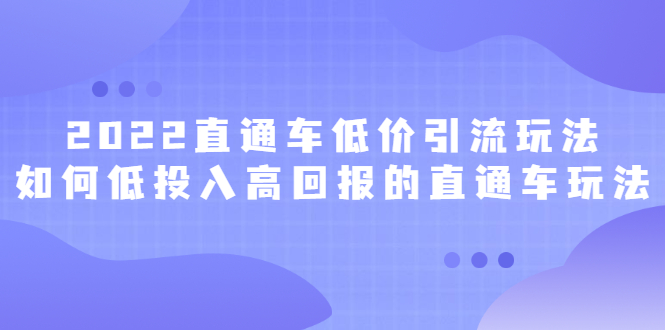 2022直通车低价引流玩法，教大家如何低投入高回报的直通车玩法-瑞创网