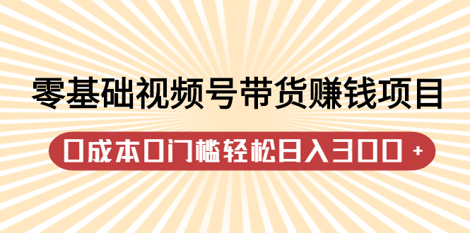 零基础视频号带货赚钱项目，0成本0门槛轻松日入300 【视频教程】-瑞创网