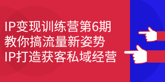 IP变现训练营第6期：教你搞流量新姿势，IP打造获客私域经营-瑞创网