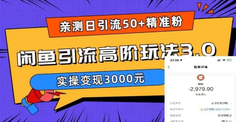 实测日引50 精准粉，闲鱼引流高阶玩法3.0，实操变现3000元-瑞创网