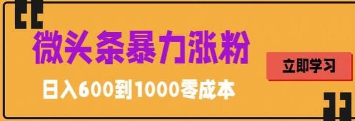 微头条暴力涨粉技巧搬运文案就能涨几万粉丝，简单0成本，日赚600-瑞创网