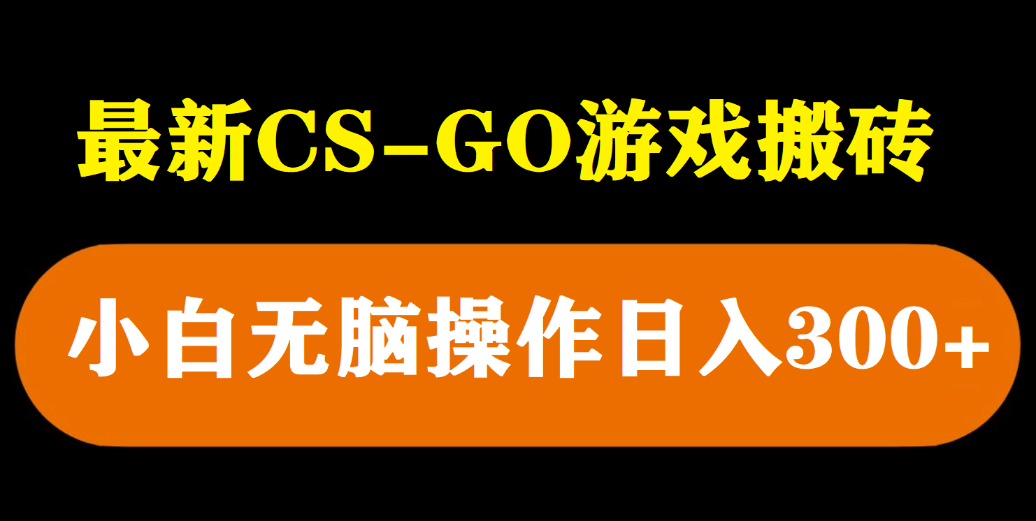 最新csgo游戏搬砖游戏，无需挂机小白无脑也能日入300-瑞创网