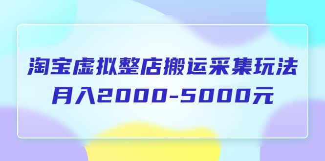 淘宝虚拟整店搬运采集玩法分享课：月入2000-5000元（5节课）-瑞创网