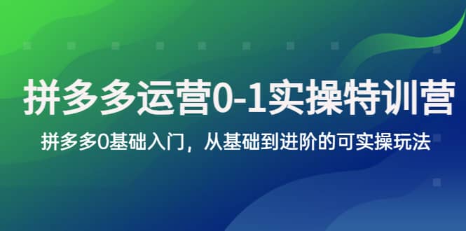 拼多多-运营0-1实操训练营，拼多多0基础入门，从基础到进阶的可实操玩法-瑞创网