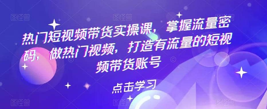 热门短视频带货实战 掌握流量密码 做热门视频 打造有流量的短视频带货账号-瑞创网