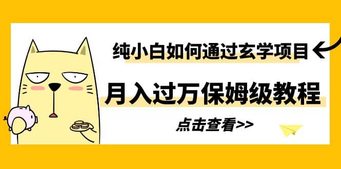 纯小白如何通过玄学项目月入过万保姆级教程-瑞创网