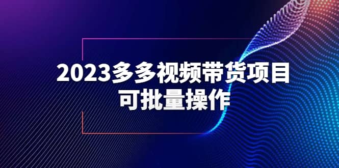 2023多多视频带货项目，可批量操作【保姆级教学】-瑞创网