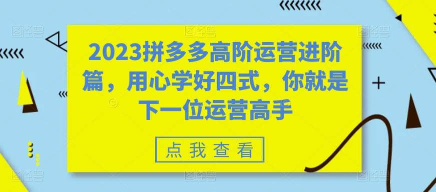 2023拼多多高阶运营进阶篇，用心学好四式，你就是下一位运营高手-瑞创网