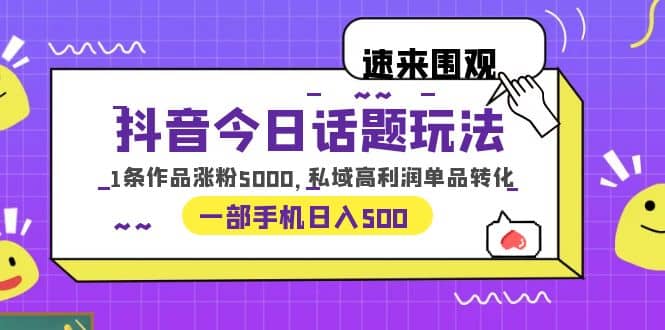 抖音今日话题玩法，1条作品涨粉5000，私域高利润单品转化 一部手机日入500-瑞创网