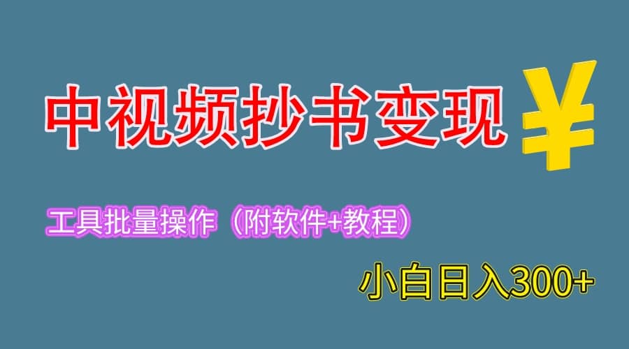 2023中视频抄书变现（附工具 教程），一天300 ，特别适合新手操作的副业-瑞创网