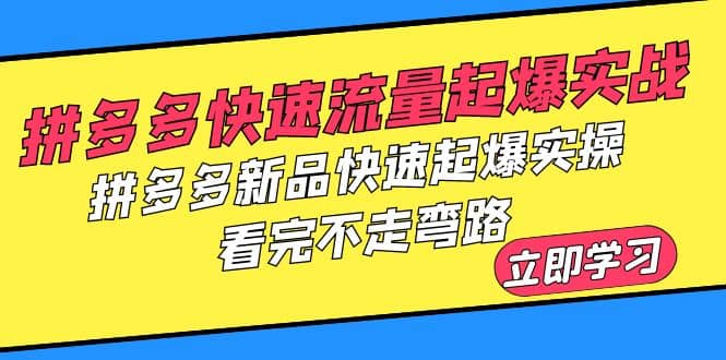 拼多多-快速流量起爆实战，拼多多新品快速起爆实操，看完不走弯路-瑞创网