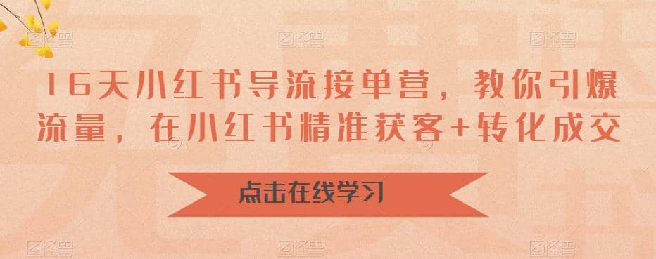 16天-小红书 导流接单营，教你引爆流量，在小红书精准获客 转化成交-瑞创网