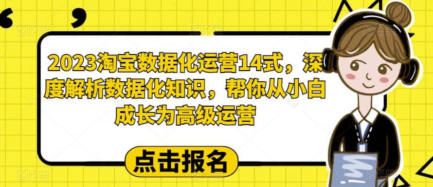 2023淘宝数据化-运营 14式，深度解析数据化知识，帮你从小白成长为高级运营-瑞创网