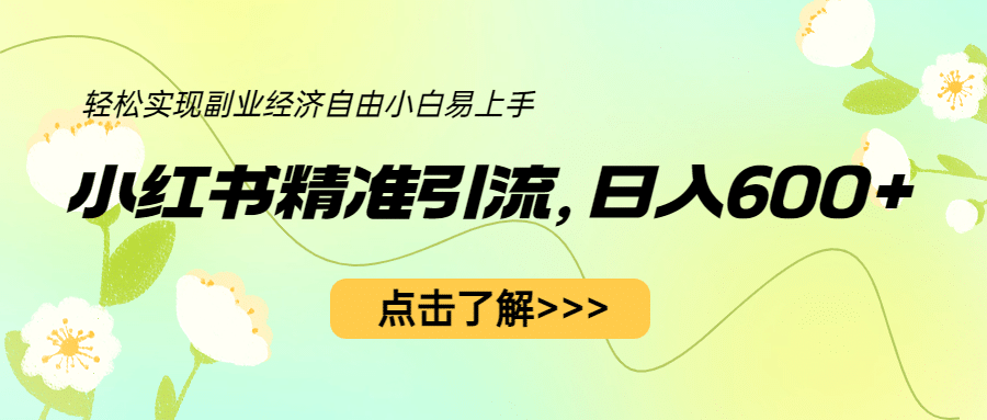 小红书精准引流，小白日入600 ，轻松实现副业经济自由（教程 1153G资源）-瑞创网