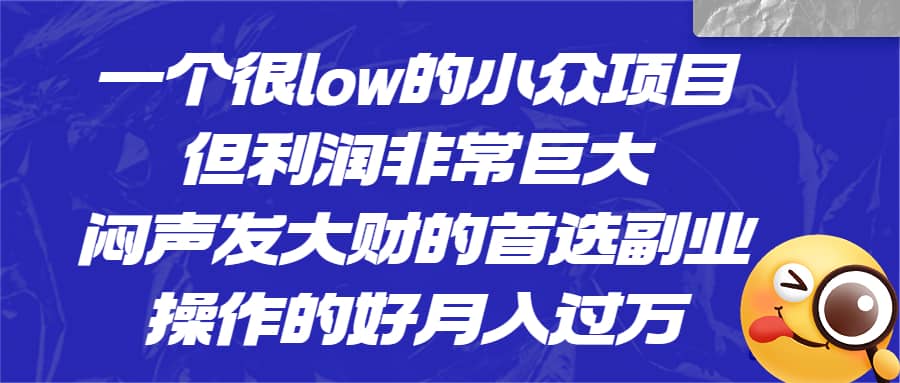 一个很low的小众项目，但利润非常巨大，闷声发大财的首选副业，月入过万-瑞创网