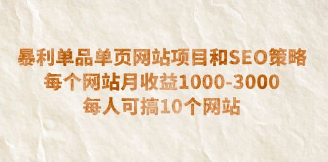 暴利单品单页网站项目和SEO策略 每个网站月收益1000-3000 每人可搞10个-瑞创网