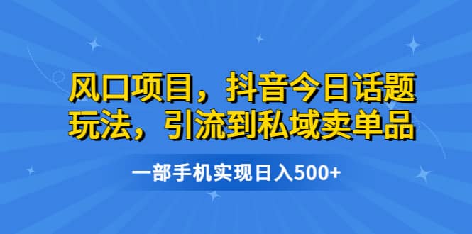 风口项目，抖音今日话题玩法，引流到私域卖单品，一部手机实现日入500-瑞创网