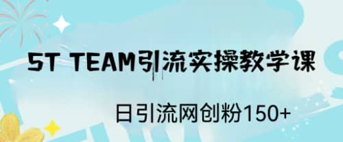 ST TEAM引流实操课，日引流网创粉100-瑞创网