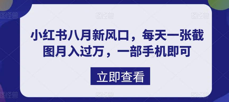 八月新风口，小红书虚拟项目一天收入1000 ，实战揭秘-瑞创网