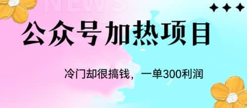 冷门公众号加热项目，一单利润300-瑞创网