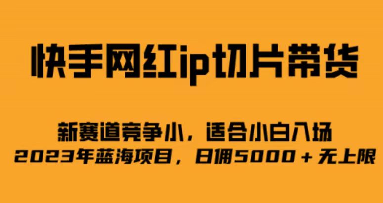 快手网红ip切片新赛道，竞争小事，适合小白 2023蓝海项目-瑞创网