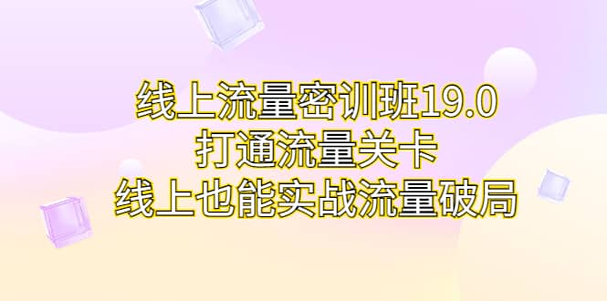 线上流量密训班19.0，打通流量关卡，线上也能实战流量破局-瑞创网