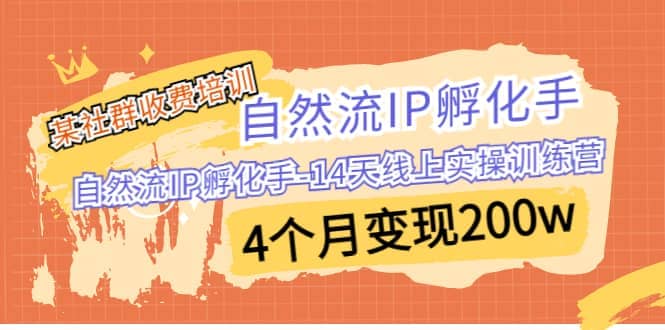 某社群收费培训：自然流IP 孵化手-14天线上实操训练营 4个月变现200w-瑞创网