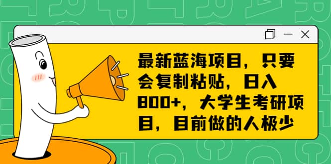 最新蓝海项目，只要会复制粘贴，日入800 ，大学生考研项目，目前做的人极少-瑞创网