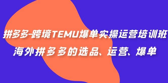 拼多多-跨境TEMU爆单实操运营培训班，海外拼多多的选品、运营、爆单-瑞创网