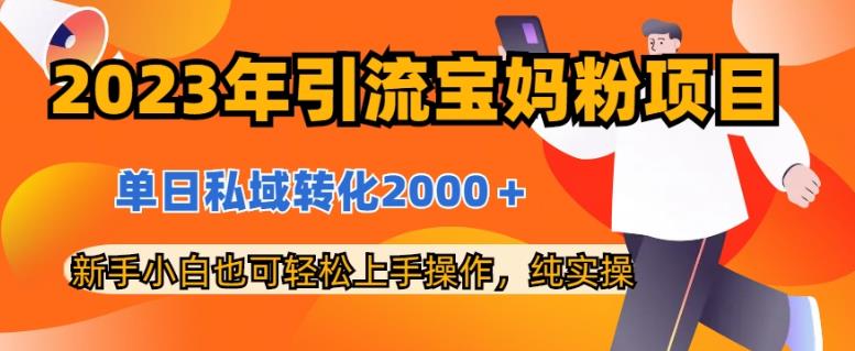 2023年引流宝妈粉项目，单日私域转化2000＋，新手小白也可轻松上手操作，纯实操-瑞创网