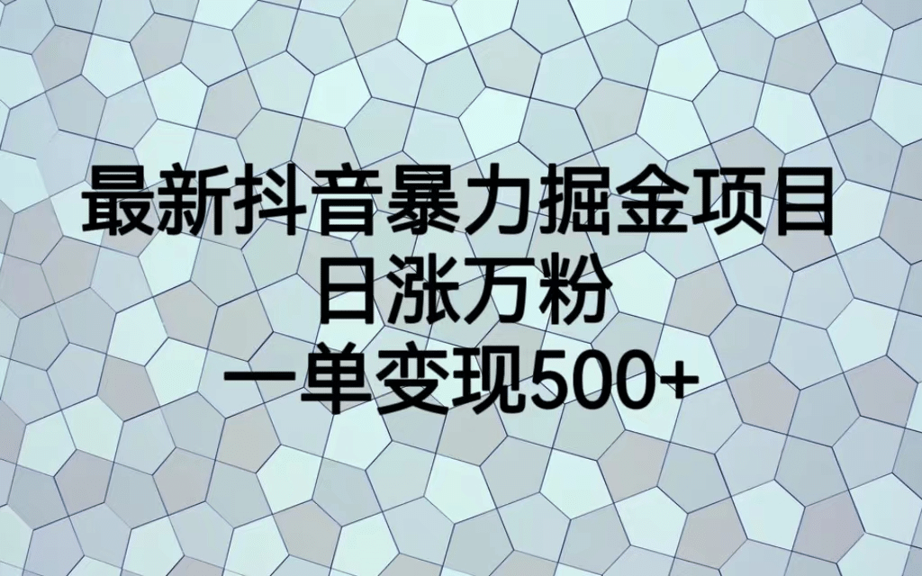 最火热的抖音暴力掘金项目，日涨万粉，多种变现方式，一单变现可达500-瑞创网