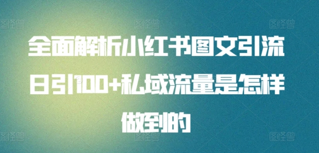 全面解析小红书图文引流日引100私域流量是怎样做到的-瑞创网