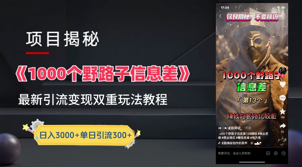 一千个野路子信息差24年最新玩法教程附带变现方法和引流的玩法具体拆解-瑞创网