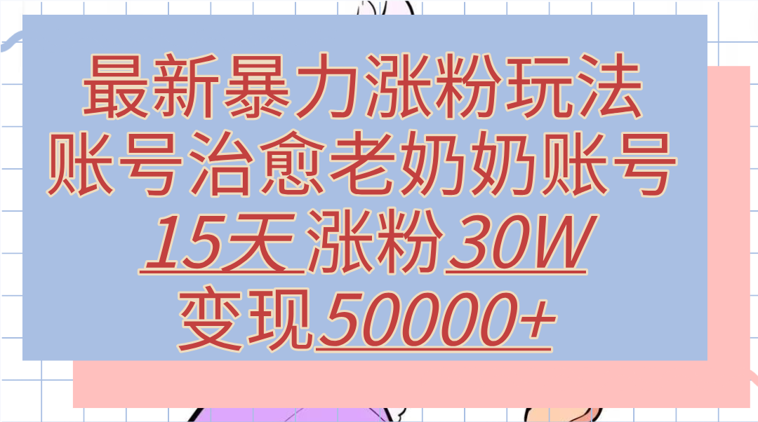 最新暴力涨粉玩法，治愈老奶奶账号，15天涨粉30W，变现50000+【揭秘】-瑞创网