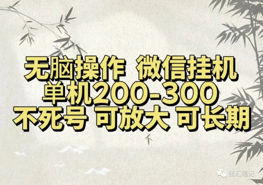 无脑操作微信视频号挂机单机200-300一天，不死号，可放大，工作室实测-瑞创网