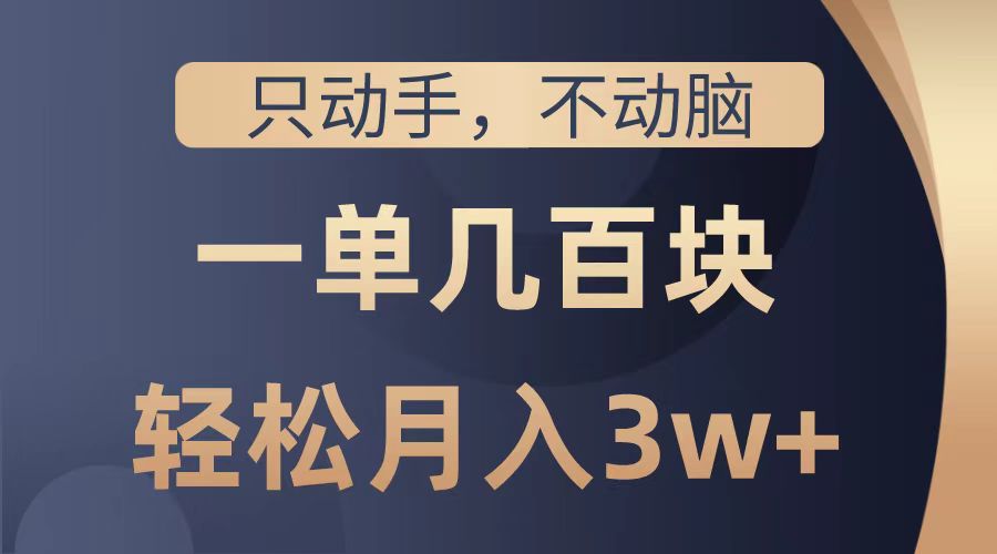 只动手不动脑，一单几百块，轻松月入2w+，看完就能直接操作，详细教程-瑞创网