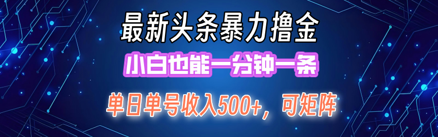 最新头条撸金，小白也能一分钟一条-瑞创网