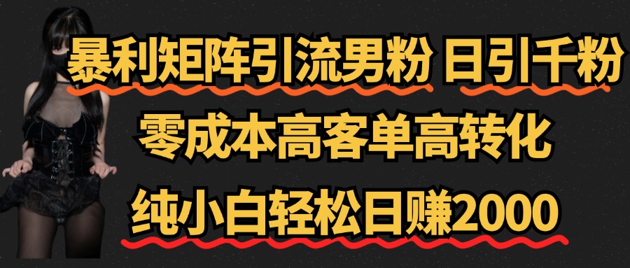 暴利矩阵引流男粉（日引千粉），零成本高客单高转化，纯小白轻松日赚2000+-瑞创网