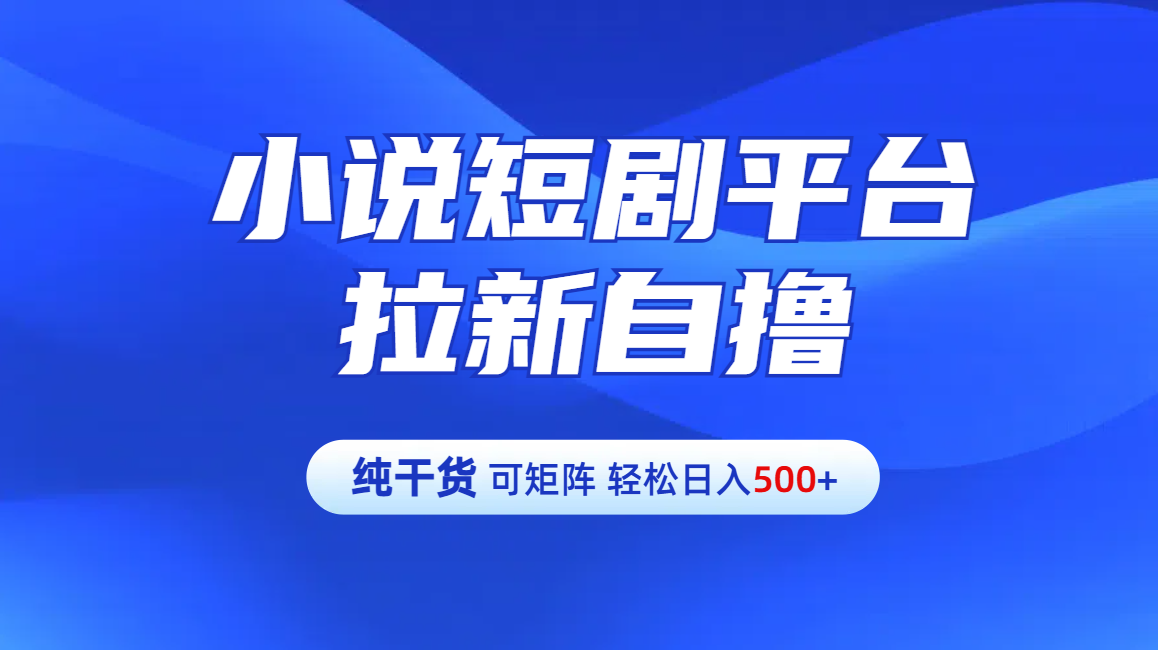 【纯干货】小说短剧平台拉新自撸玩法详解-单人轻松日入500+-瑞创网