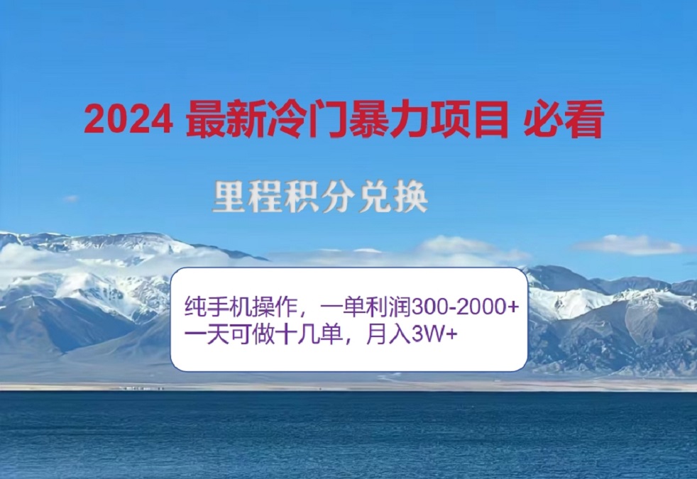 2024惊爆冷门暴利！出行高峰来袭，里程积分，高爆发期，一单300+—2000+，月入过万不是梦！-瑞创网