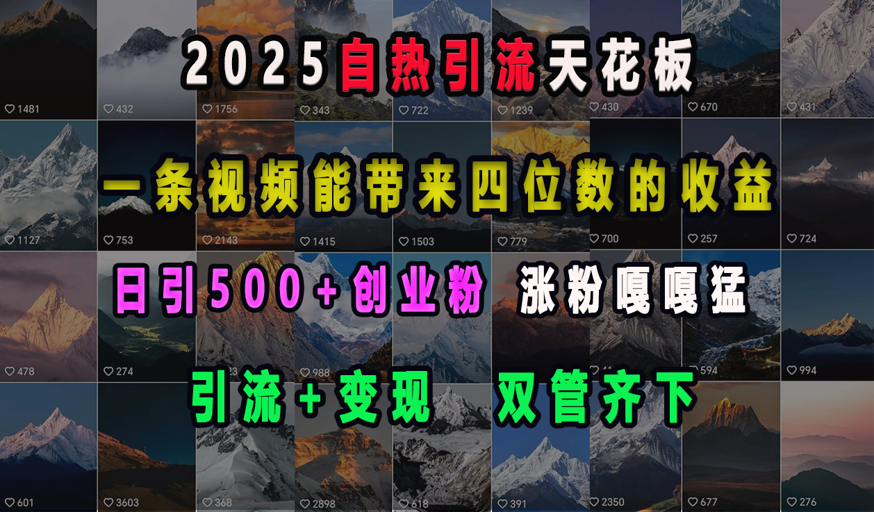 2025自热引流天花板，一条视频能带来四位数的收益，引流+变现双管齐下，日引500+创业粉，涨粉嘎嘎猛-瑞创网