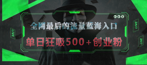 全网最后的流量蓝海入口，半小时引流50+创业粉，单日狂吸500+创业粉-瑞创网