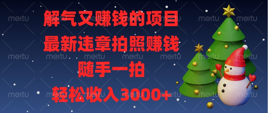 最新违章拍照赚钱，随手一拍，解气又赚钱的项目，轻松收入3000+-瑞创网