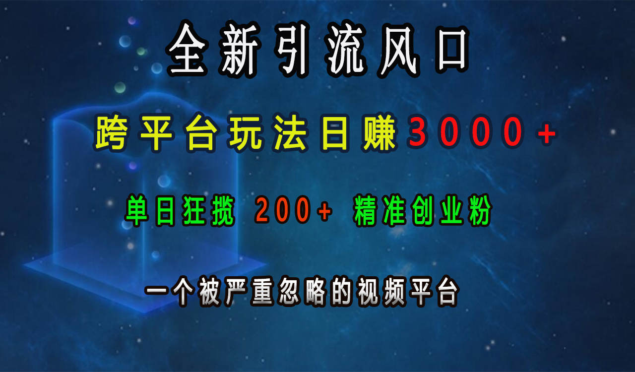 全新引流风口，跨平台玩法日赚3000+，单日狂揽200+精准创业粉，一个被严重忽略的视频平台-瑞创网