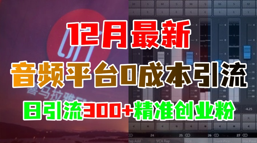 12月最新：音频平台0成本引流，日引300+精准创业粉-瑞创网