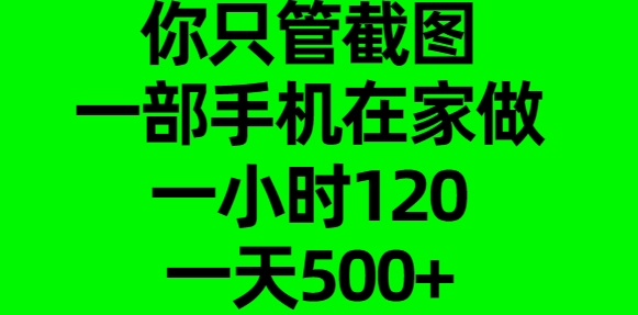 你只管截图，一部手机在家做，一小时120，一天500+-瑞创网