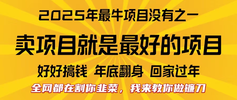 全网都在割你韭菜，我来教你做镰刀。卖项目就是最好的项目，2025年最牛互联网项目-瑞创网