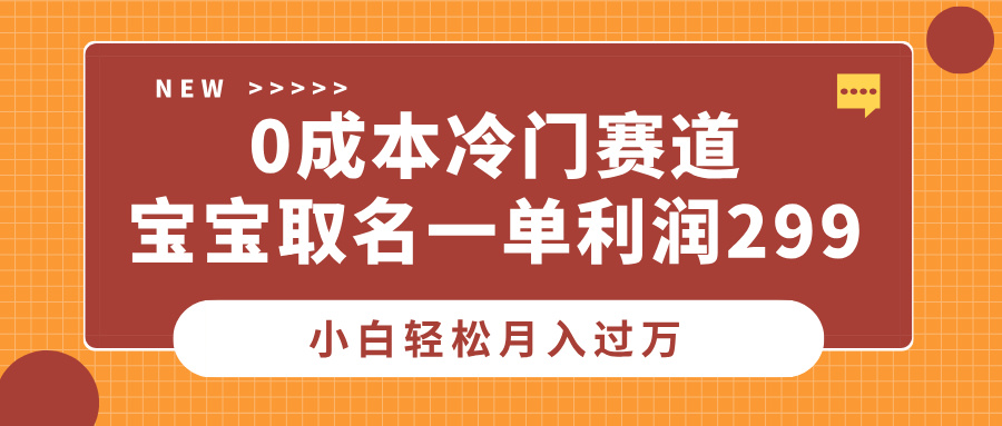 0成本冷门赛道，宝宝取名一单利润299，小白轻松月入过万-瑞创网